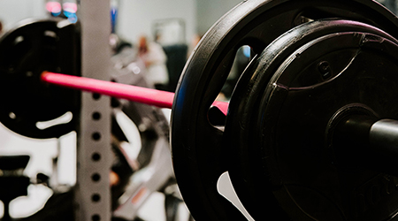 Premiere Lady Gallery